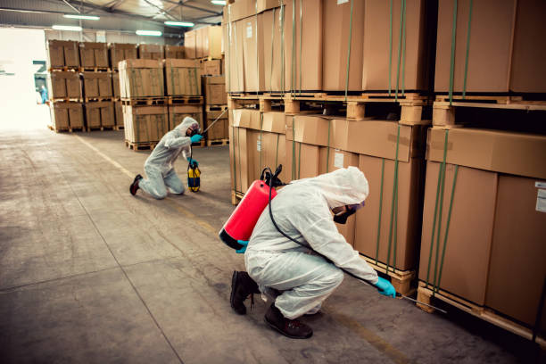 Wasp Removal Services in Villanova, PA