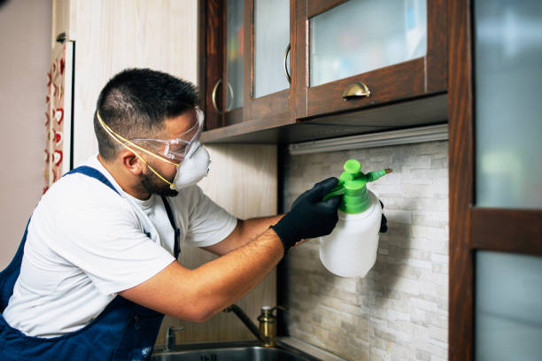 Best Flea Control Services  in Villanova, PA