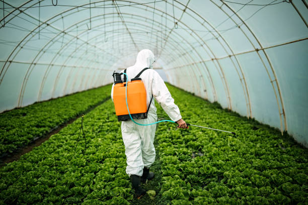 Trusted Villanova, PA Pest Control Experts
