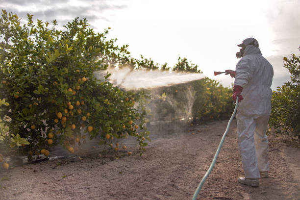 Best Local Pest Control Services  in Villanova, PA